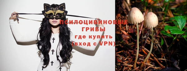 соль ск Балахна