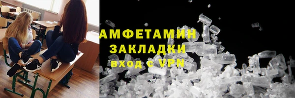 прущие грибы Баксан