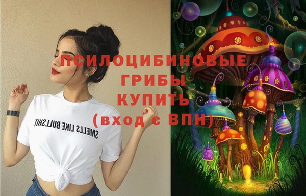 соль ск Балахна