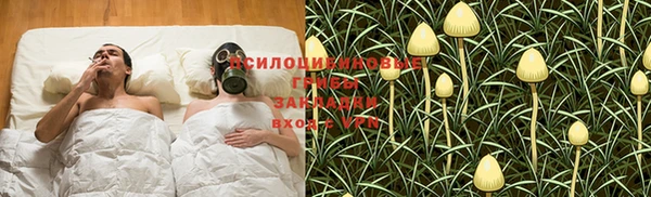 прущие грибы Баксан
