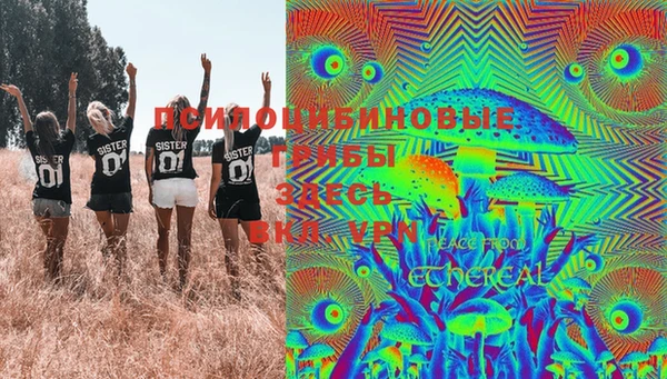 прущие грибы Баксан