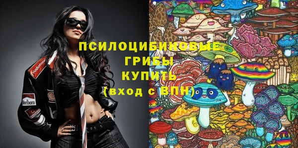 спиды Аркадак